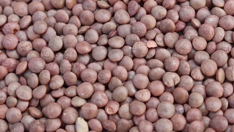 Heap of small brown lentils visible Stock Footage 338171108