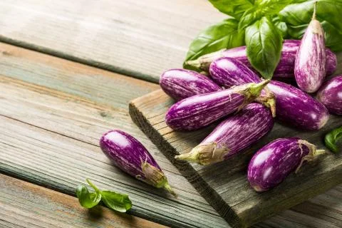 Heap of small eggplant or aubergine Stock Photos