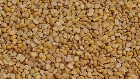 Heap of small yellow beans close up Stock Footage 338171553