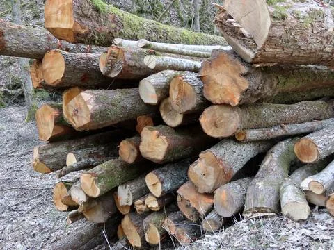 Heap of timber Stock Photos