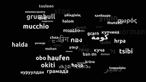Heap Translated in 74 Worldwide Languages Endless Looping 3d Zooming Wordclou Stock Footage 145207643