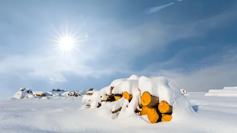 Heap of tree trunk covered by snow at the sunny day Vídeos de archivo 220557841