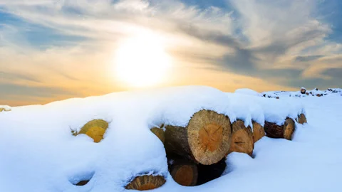 Heap of tree trunk covered by snow at the sunset time lapse scene Stock Footage 221573416