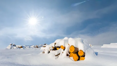 Heap of tree trunk covered by snow at the sunny day time lapse scene Video stock 246004564