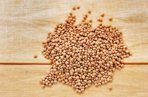 Heap of uncooked lentils Stock-Fotos