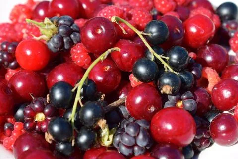 Heap of various berries at summer close up Stock Photos