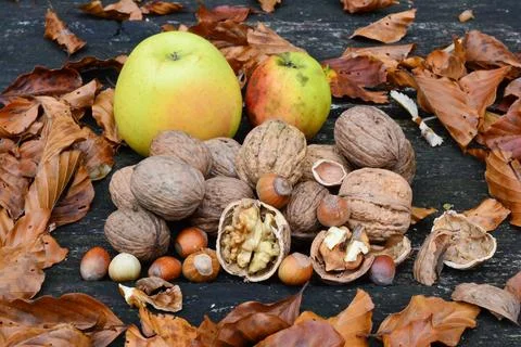Heap of walnuts and hazelnuts Stock Photos