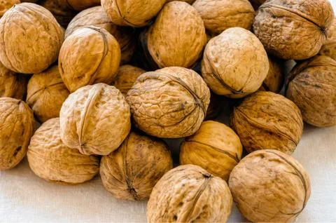 A heap of walnuts 스톡 사진
