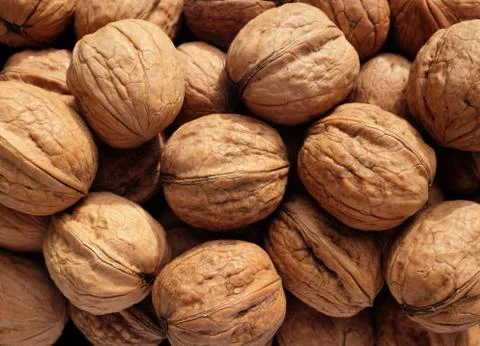 Heap of walnuts Stock Photos