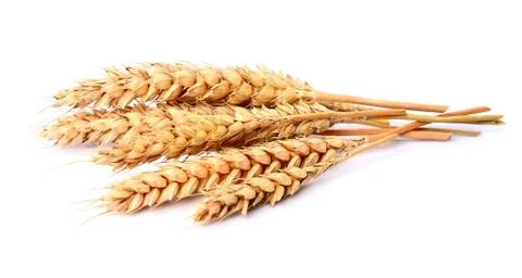 Heap of wheat Stock Photos