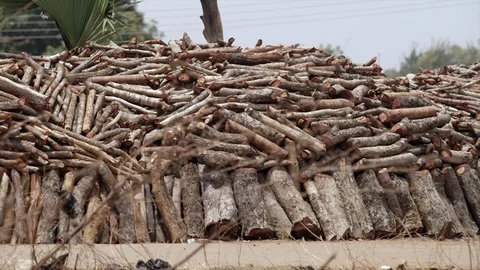 Heap of Wood Stock Footage 104074984