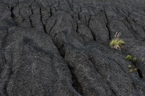 Heaps of coal dust Stock Photos