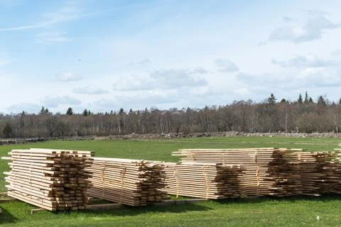 Heaps of drying planks Stock Photos