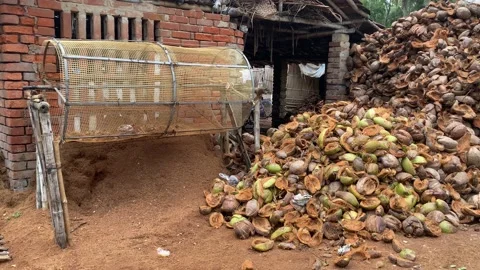 Close up of man hand grated coconut using an electric coconut grater in  Thailand Stock Photo