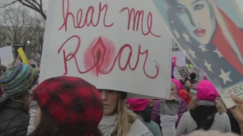 Hear Me Roar Protest Sign - Womens March Stock Footage 81253016