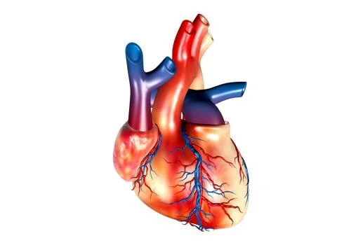 Heart 03 Stock Illustration