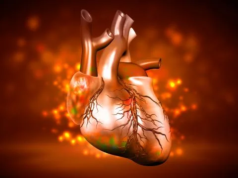 Heart 04 Stock Illustration