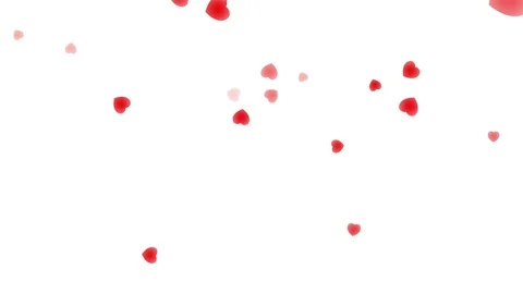 Heart-06 Stock Footage 123040816