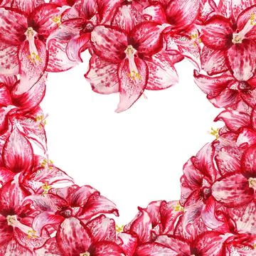 Heart amaryllis frame Stock Illustration