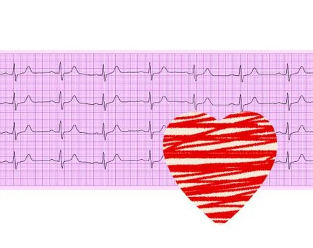 Heart analysis, electrocardiogram graph (ECG) and paper heart Fotos Stock