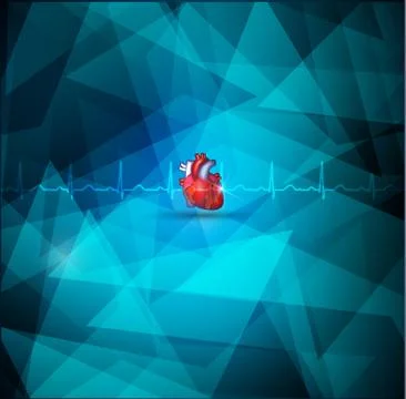 Heart anatomy Stock Illustration