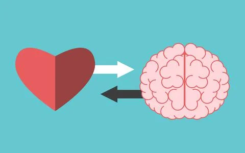 Heart and brain interaction Stock Illustration