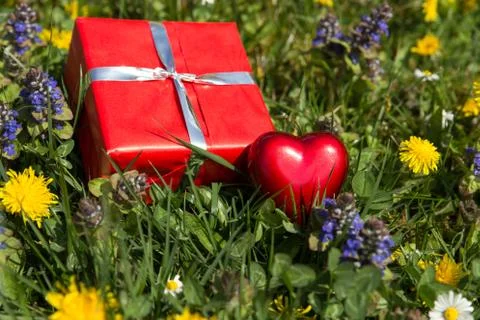 Heart and gift on a spring meadow 库存照片