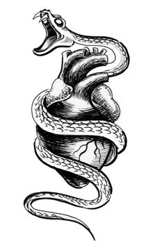 Heart and snake Stock Illustration