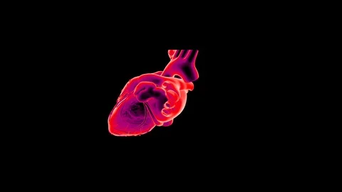 Heart animated background on black Video stock 90834177