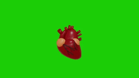 Heart animation on green screen background 库存影片 334116922