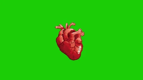 Heart animation on green screen background 库存影片 334116937