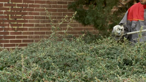 Heart attack man Video stock 32097687