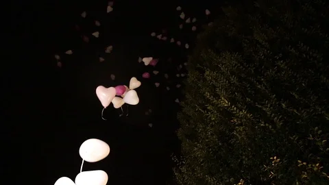 Heart balloons flying Stock Footage 101746231