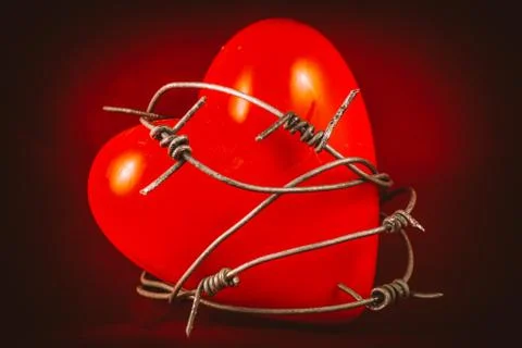 Heart in Barbed Wire Stock Photos