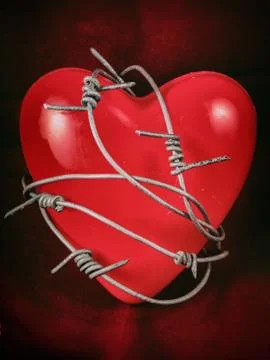 Heart in Barbed Wire Stock Photos