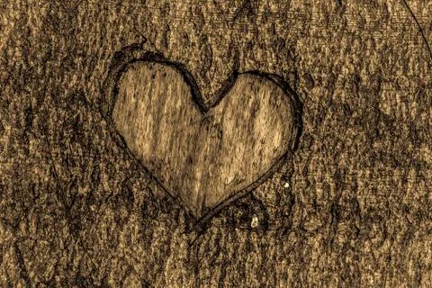 Heart - bark 库存照片