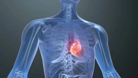 Heart Beat Stock Footage 244739967