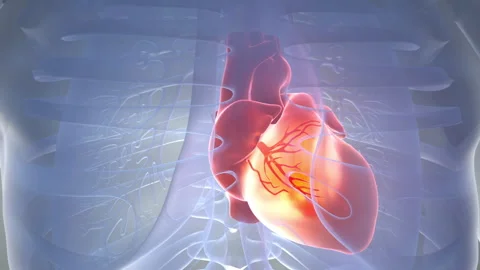 Heart Beat Vidéo 244745330