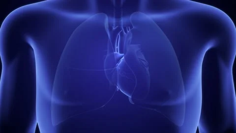 Heart beat slowing down due to heart attack.3d illustration Stock Footage 236608386