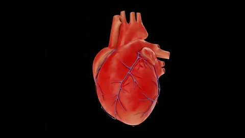 Heart beating animation Stock Footage 180380749