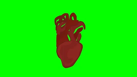 Heart beating animation green screen Stock Footage 307532802