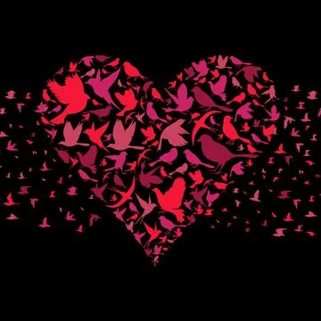 Heart a bird3 스톡 사진