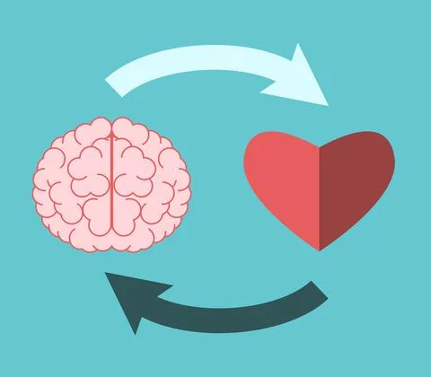 Heart, brain, circular interaction Stock Illustration
