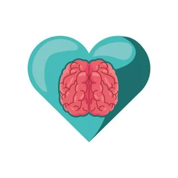 Heart with brain on white background Stock Illustration