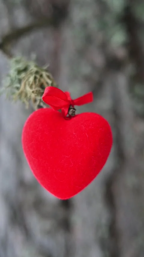 Heart on a branch Stock Footage 297895739