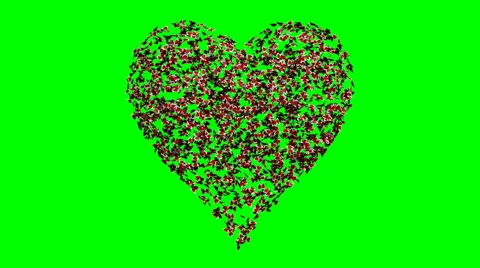 Heart of butterflies Vídeo Stock 48781006