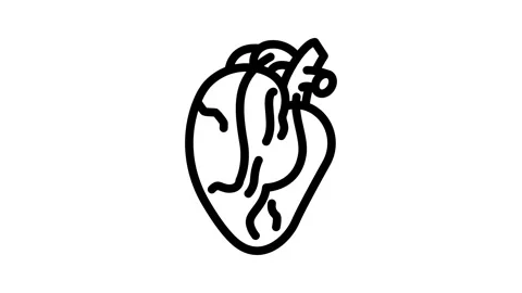 Heart bypass surgery line icon animation Stock Footage 326753791