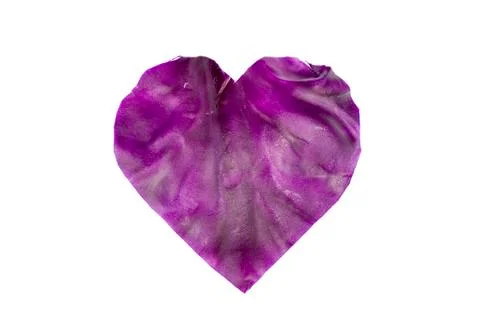 Heart Cabbage Stock Photos
