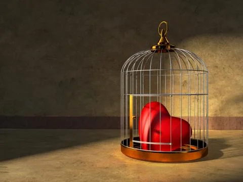 Heart in a cage Illustrazione stock