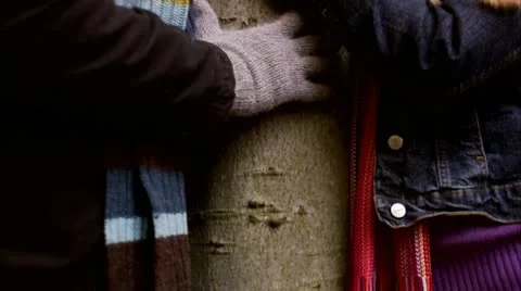 A heart carved on a tree trunk Stock Footage 11331587
